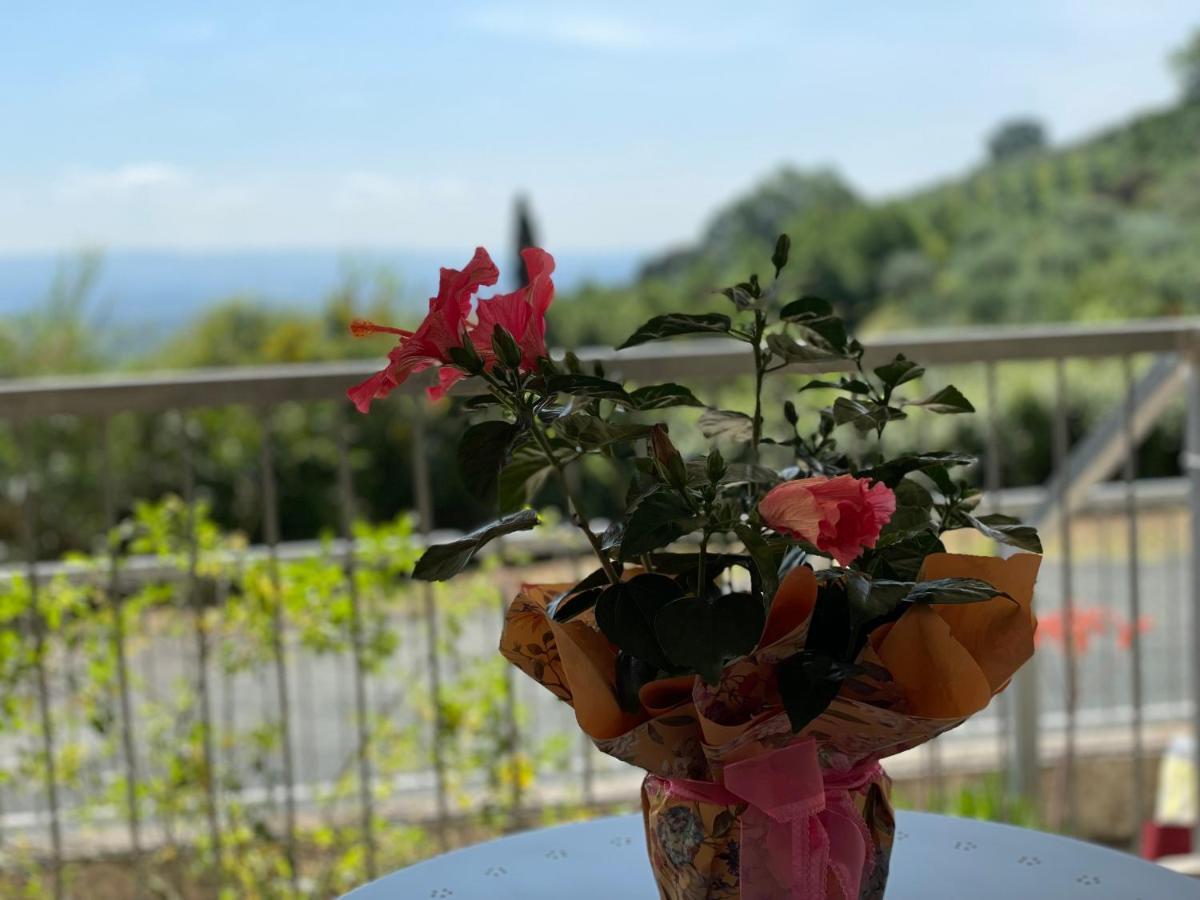 감바시 A Casa Di Silvia 아파트 외부 사진