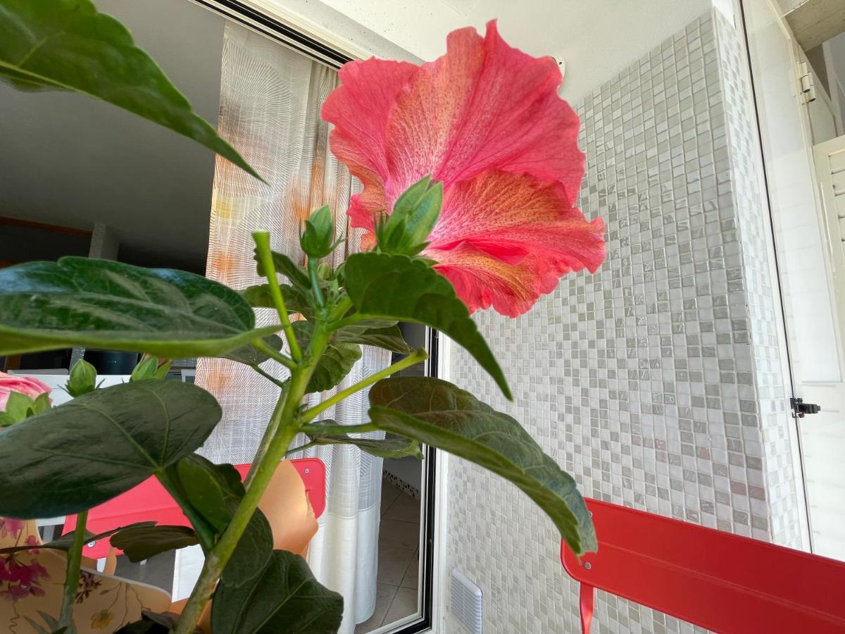 감바시 A Casa Di Silvia 아파트 외부 사진