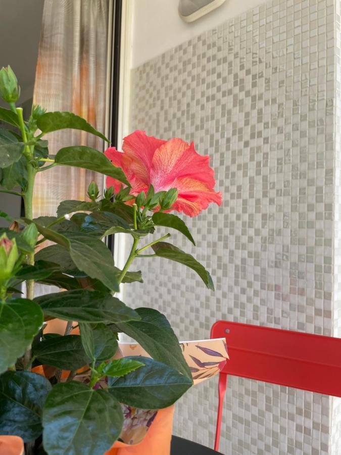 감바시 A Casa Di Silvia 아파트 외부 사진