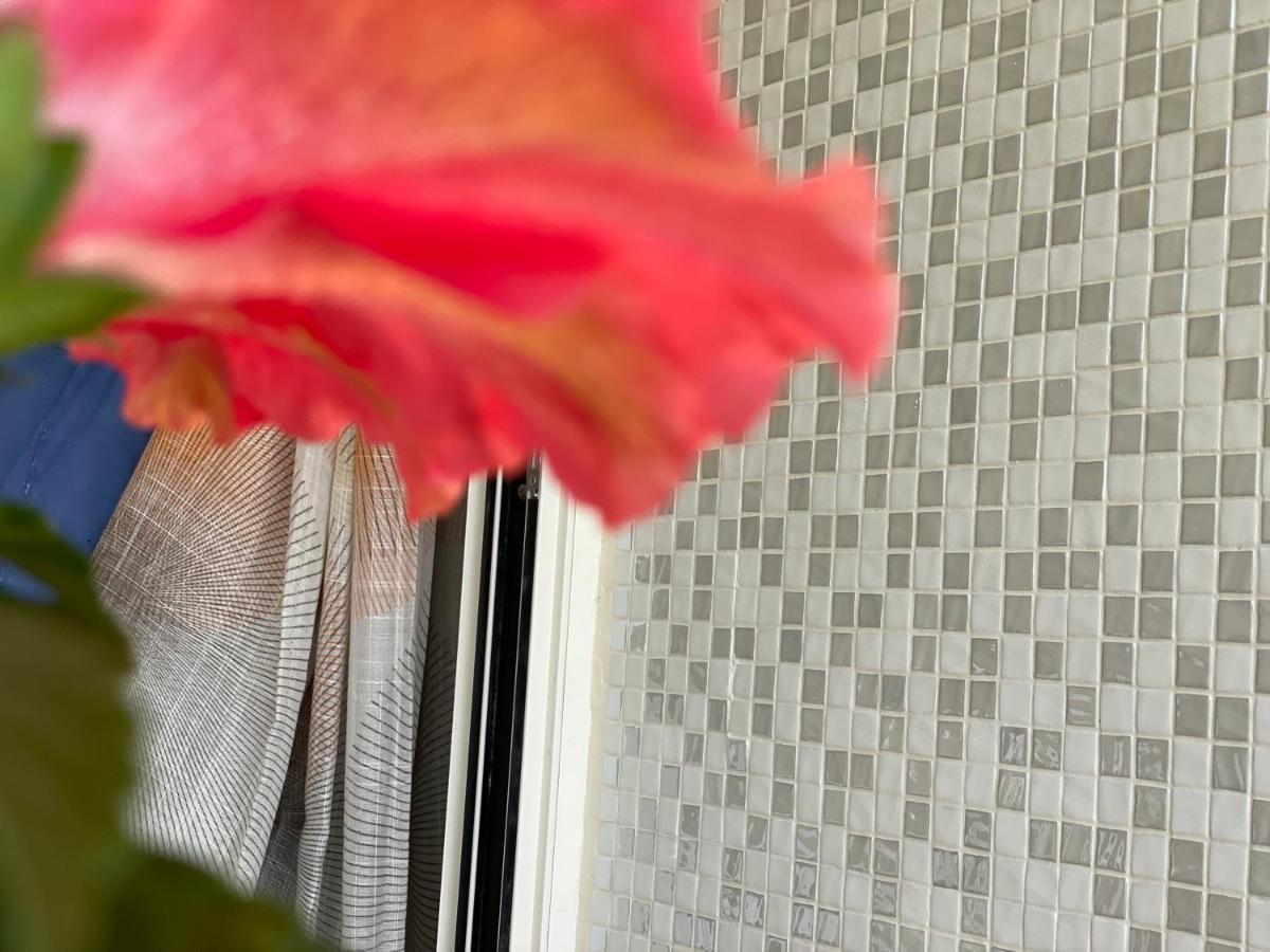 감바시 A Casa Di Silvia 아파트 외부 사진